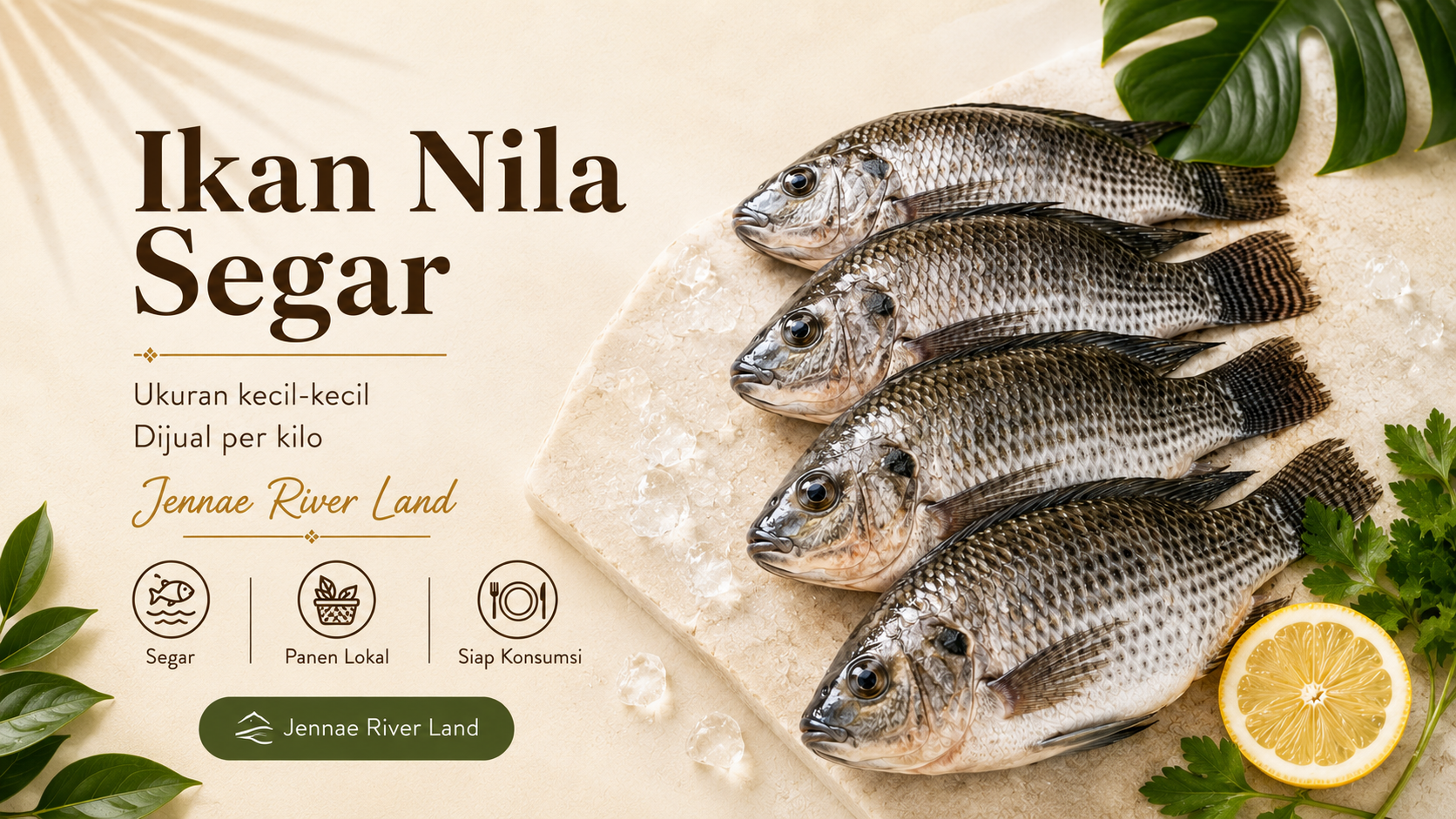 Asli Jennae (Pre-Order) Ikan Nila Segar Perkilogram