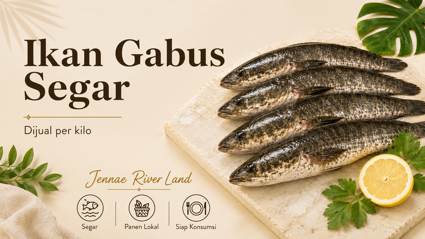 Asli Jennae (Pre-Order) Ikan Gabus Segar Perkilogram